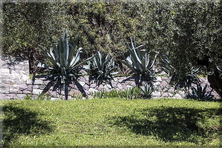 foto Giardini Trauttmansdorff - Giardini del Sole